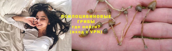 МДПВ Волосово