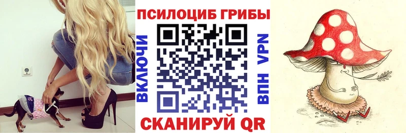 наркошоп Вуктыл Галлюциногенные грибы мицелий
